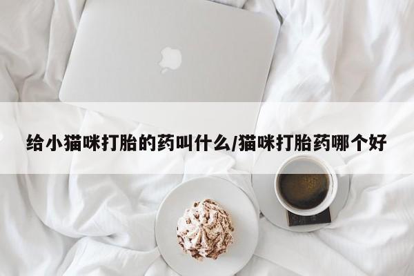 米非司酮购买渠道微信给小猫咪打胎的药叫什么/猫咪打胎药哪个好