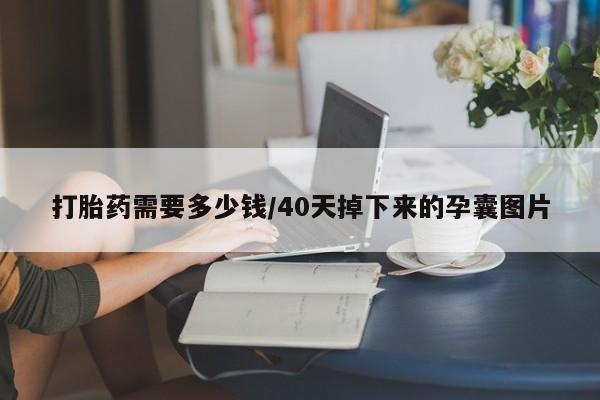 米非司酮购买渠道微信打胎药需要多少钱/40天掉下来的孕囊图片
