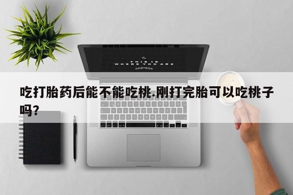 米非司酮购买渠道微信吃打胎药后能不能吃桃.刚打完胎可以吃桃子吗？